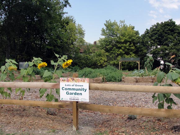 "Lots of Green" Youngstown, Ohio. Photos Submitted